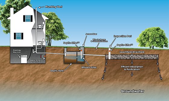 Septic Dye Testing