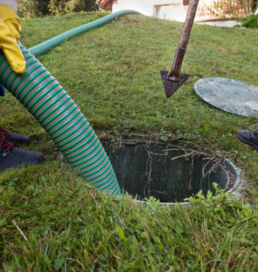 Septic Dye Testing